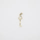 Key Charm Charm